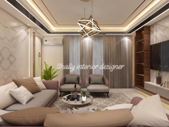 Drawing Room Interior Design in Rajinder Nagar